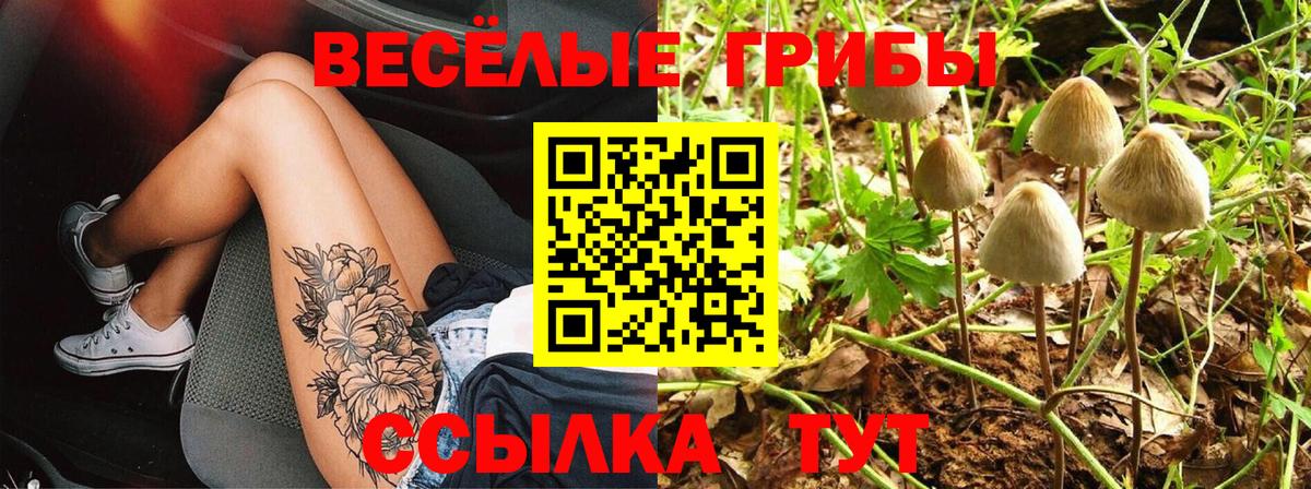 Галлюциногенные грибы MAGIC MUSHROOMS Красноуфимск