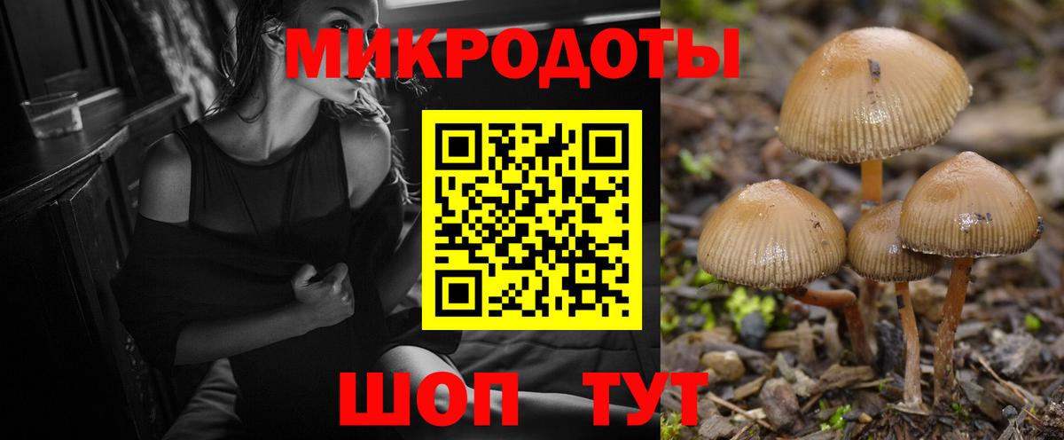 Красноуфимск  Псилоцибиновые грибы Cubensis  Вход с VPN 