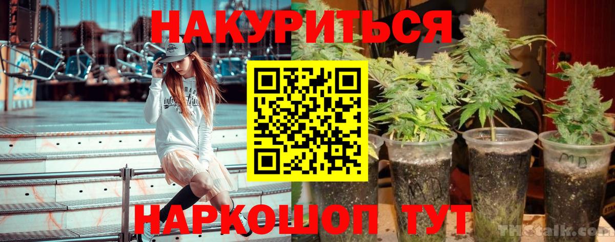 Бошки Шишки индика  Каннабис ГИДРОПОН  Красноуфимск  МАРИХУАНА MAZAR  Вход с VPN  Канабис MAZAR 